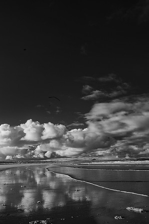 Belhave Bay Dunbar East Lothian