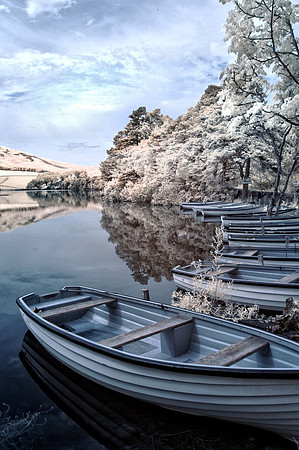 infrared photography, flotterstone, midlothian scotland