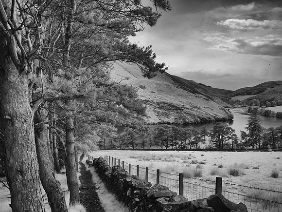 infrared photography, flotterstone, midlothian scotland
