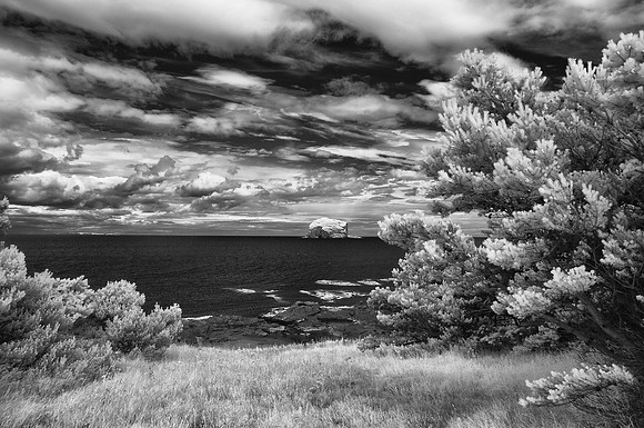 Infrared landscape photography
