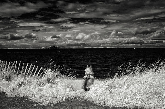 Infrared landscape photography