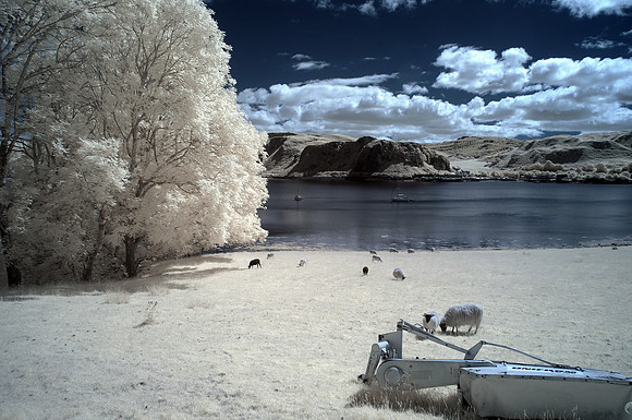 Corporate Photographer Scotland, infrared photography