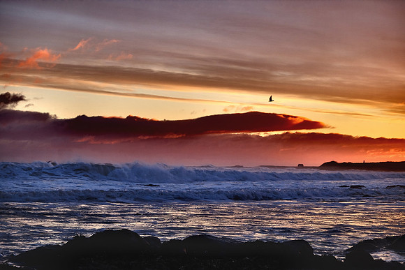 andscape photography dunbar by event and corporate photographer Colin Wright www.colinwrightphotography.co.uk