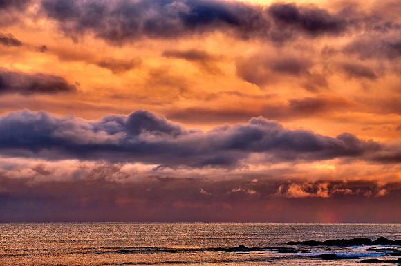 Dunbar Coastline