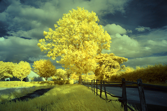 infrared photography, Fine Art photography Scotland, UK by event and corporate photographer, Colin Wright, www.colinwrightphotography.co.uk and www.edinburghphotographer.com