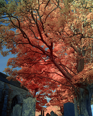 infrared photography, Scotland, UK by wedding, event and corporate photographer, Colin Wright, www.colinwrightphotography.co.uk and www.edinburghphotographer.com