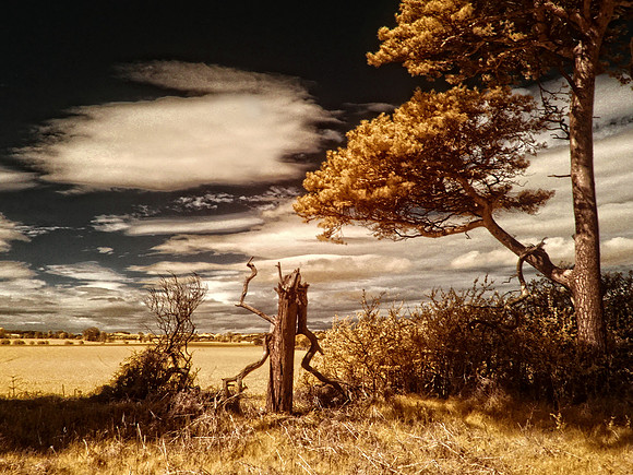 infrared photography, Scotland, UK by wedding, event and corporate photographer, Colin Wright, www.colinwrightphotography.co.uk and www.edinburghphotographer.com