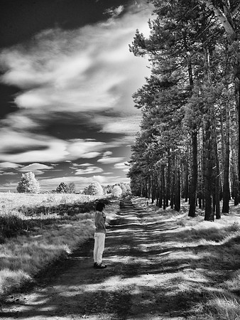 infrared photography, Scotland, UK by wedding, event and corporate photographer, Colin Wright, www.colinwrightphotography.co.uk and www.edinburghphotographer.com