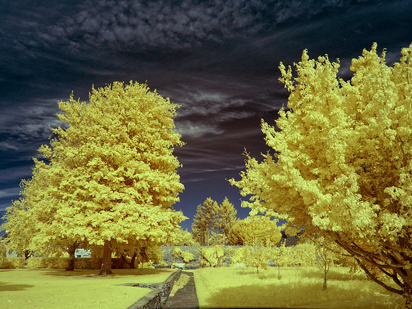 infrared photography, Scotland, UK by wedding, event and corporate photographer, Colin Wright, www.colinwrightphotography.co.uk and www.edinburghphotographer.com