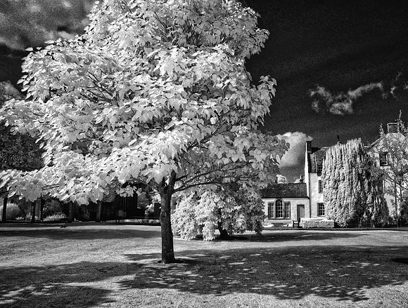 infrared photography, Scotland, UK by wedding, event and corporate photographer, Colin Wright, www.colinwrightphotography.co.uk and www.edinburghphotographer.com