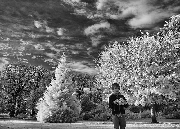 Infrared Christmas Photography