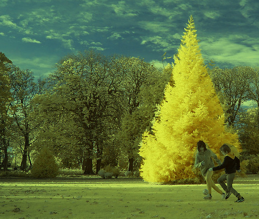 infrared photography, Scotland, UK by wedding, event and corporate photographer, Colin Wright, www.colinwrightphotography.co.uk and www.edinburghphotographer.com