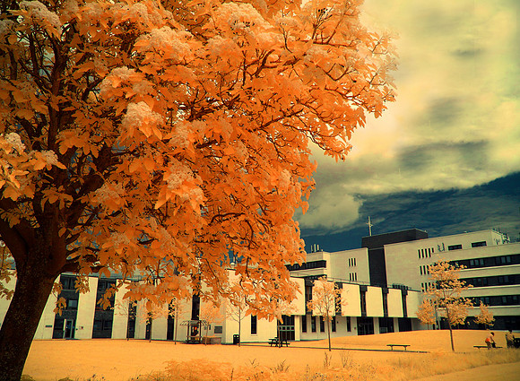 Infrared photography Edinburgh College