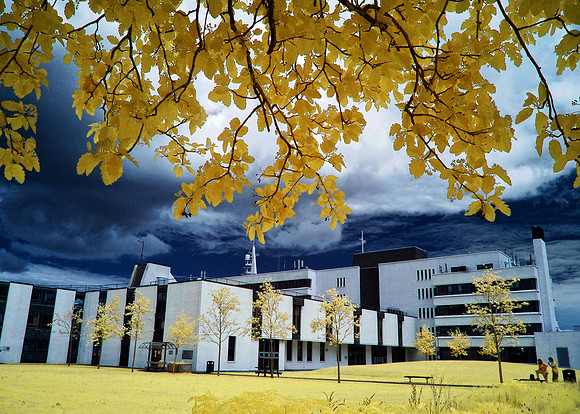 Infrared Photography Edinburgh College