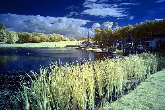 Infrared Photography Foxlake Dunbar
