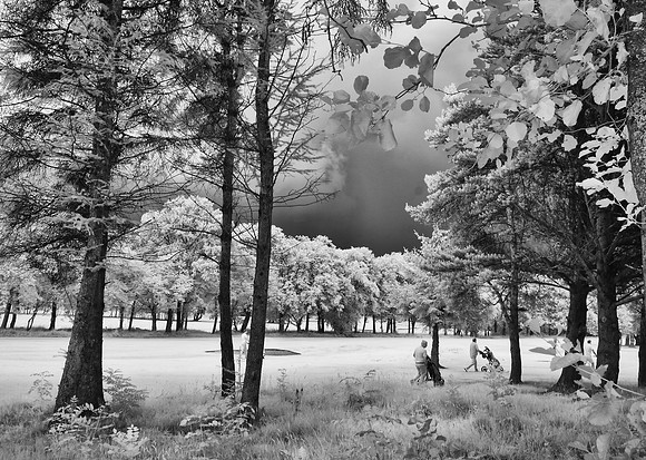 Deer Park Master 2019 in Infrared