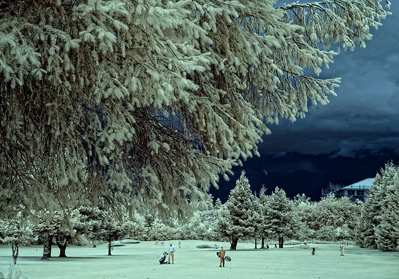 Deer Park Master 2019 in Infrared