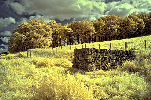 Infrared Photography Scotland