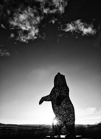 The Bear Dunbar East Lothian