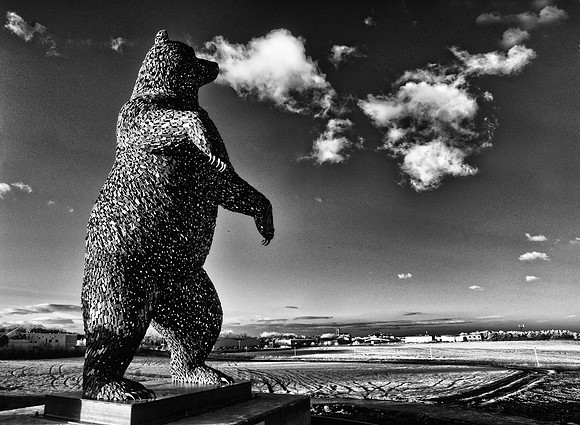 The Bear Dunbar East Lothian