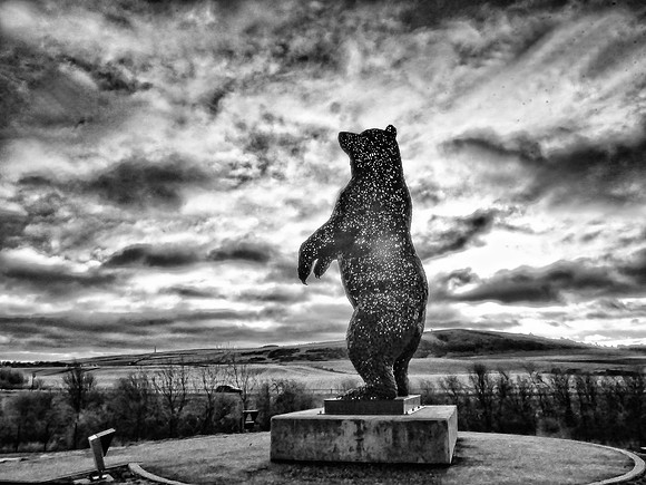 The Bear Dunbar East Lothian
