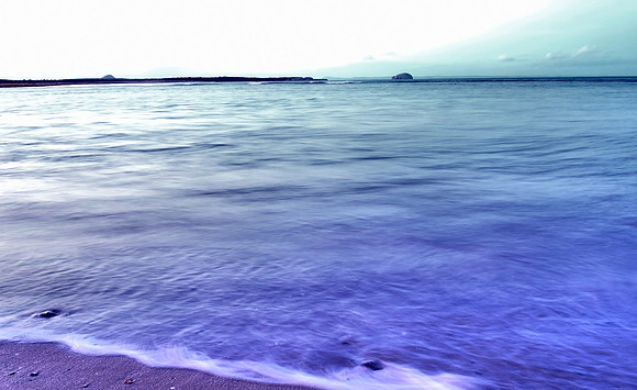 Belhaven Bay Winter 2020