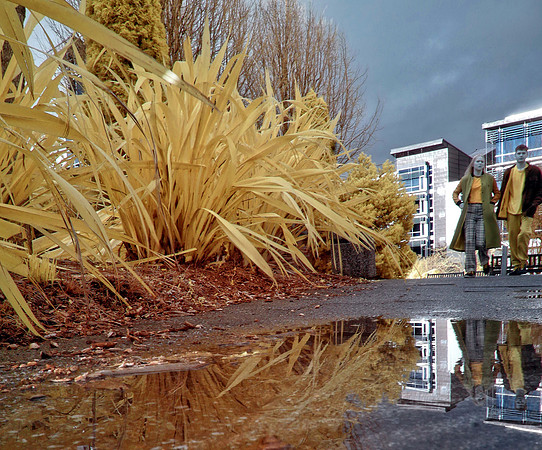 Infrared Photography Edinburgh Scotland