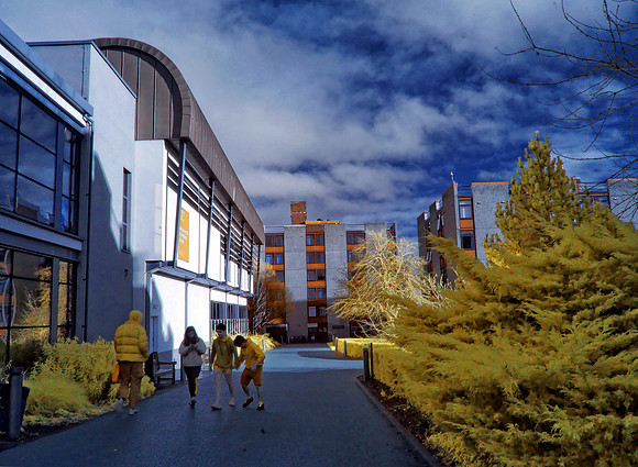 Infrared Photography Edinburgh Scotland
