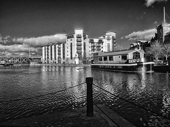 Infrared photography Scotland