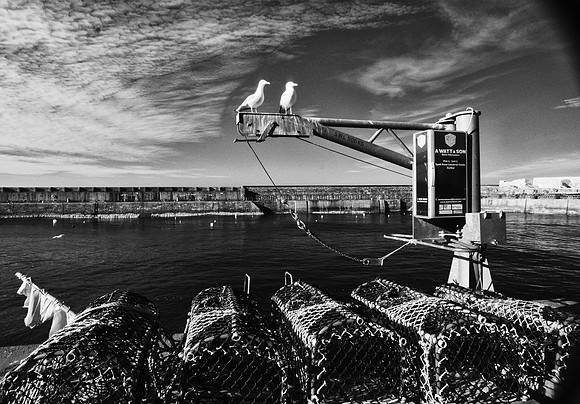 Dunbar Harbour Infrared