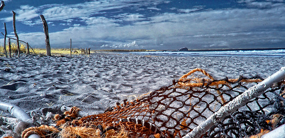 Infrared Photography East Lothian