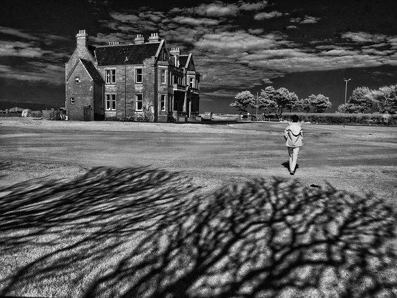 Infrared Photography East Lothian