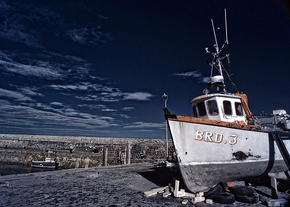 Infrared Photography East Lothian