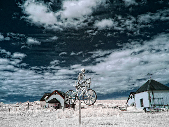Infrared Photography East Lothian