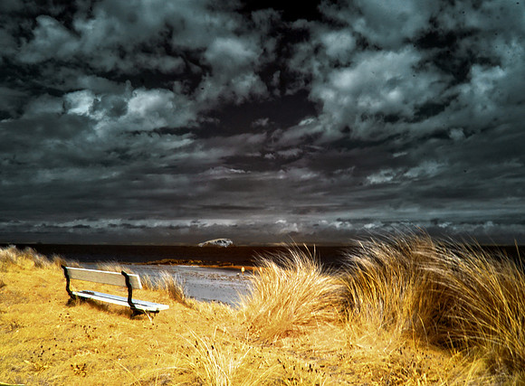 Infrared Photography East Lothian
