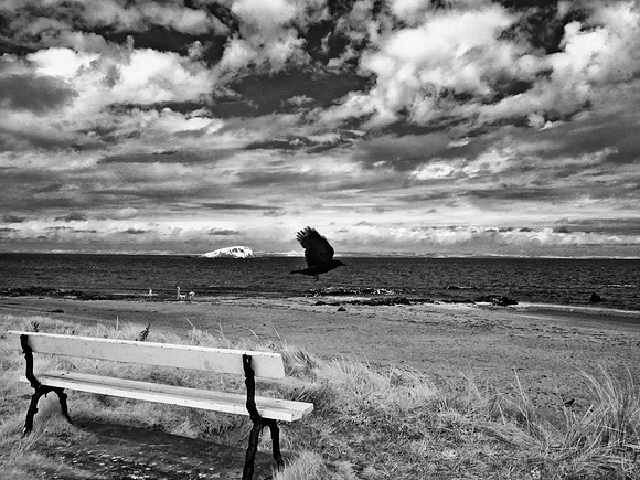 Infrared Photography East Lothian