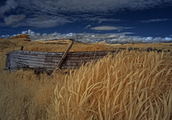 Infrared photography Scotland