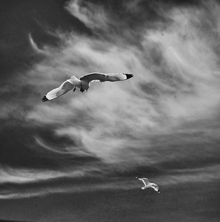 Infrared photography Scotland