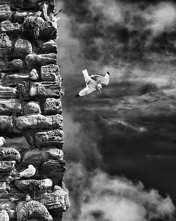 Infrared photography Scotland
