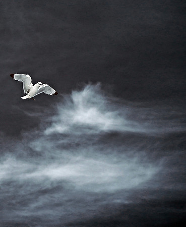 Infrared photography Scotland