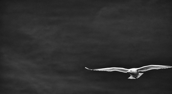 Infrared photography Scotland