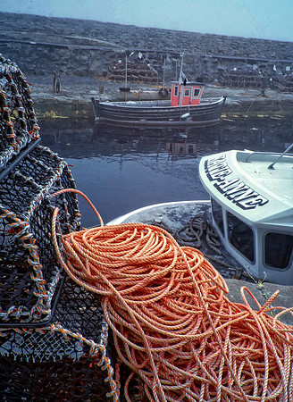 Infrared photography Scotland