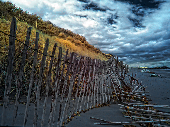 Infrared photography Scotland