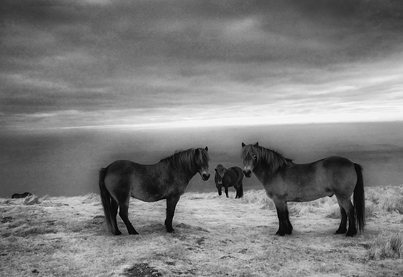 Infrared photography Scotland