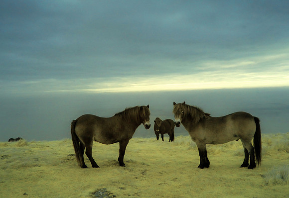 Infrared photography Scotland