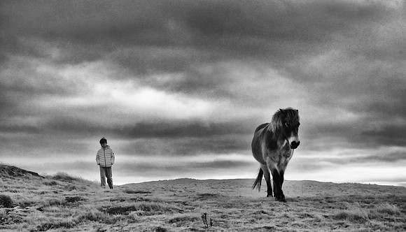 Infrared photography Scotland