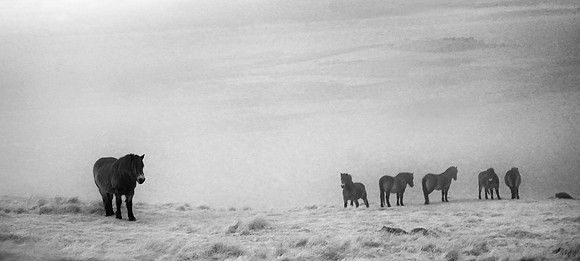 Infrared photography Scotland