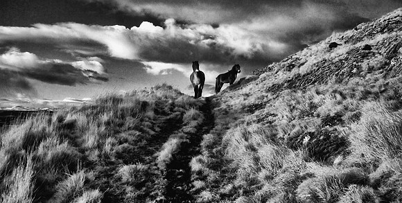 Infrared Photography Scotland